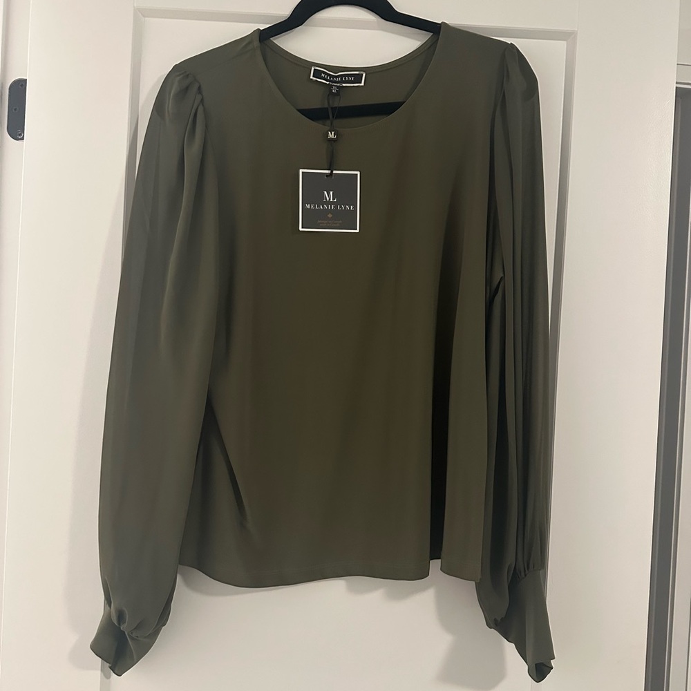 NWT- Olive Blouse for Women with Mesh Sleeves Melanie Lyne - Picture 1 of 2
